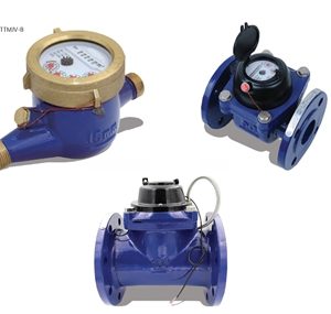 trantech-ttbm-removable-element-bulk-water-meter